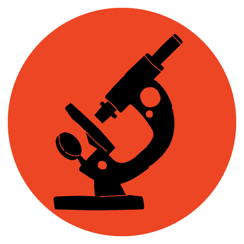 MAPs - Programa de Análisis de Microestructuras