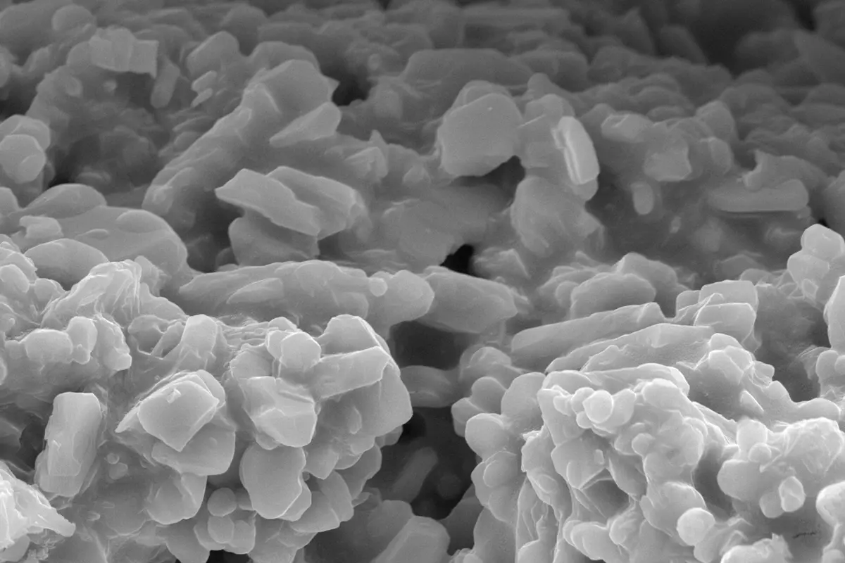 Microscopía + MAP-Nano